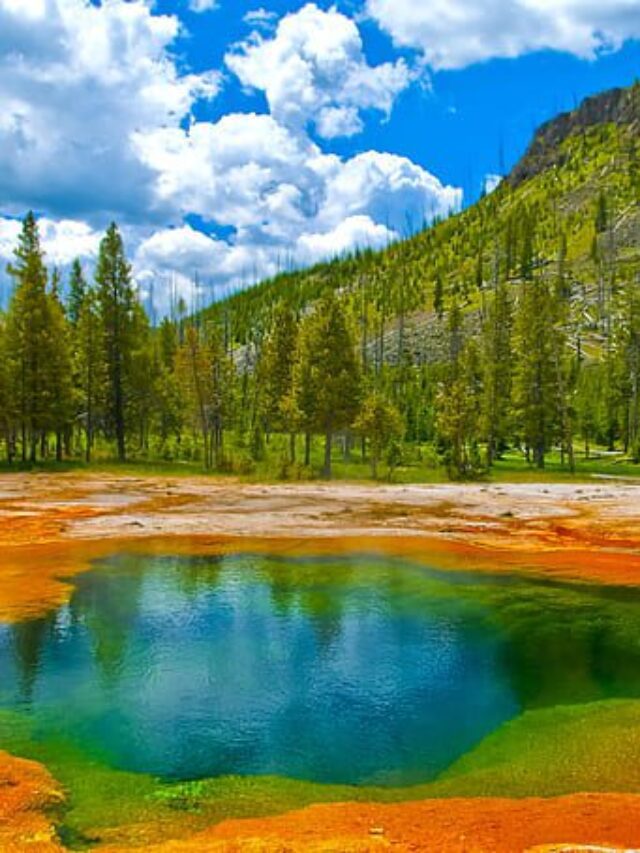 Yellowstone national park facts